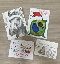 “Festive Biology: Bio New Year!” или Праздничное завершение семестра